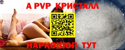 хмурый Кингисепп