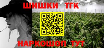 хмурый Кингисепп