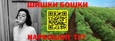 хмурый Кингисепп