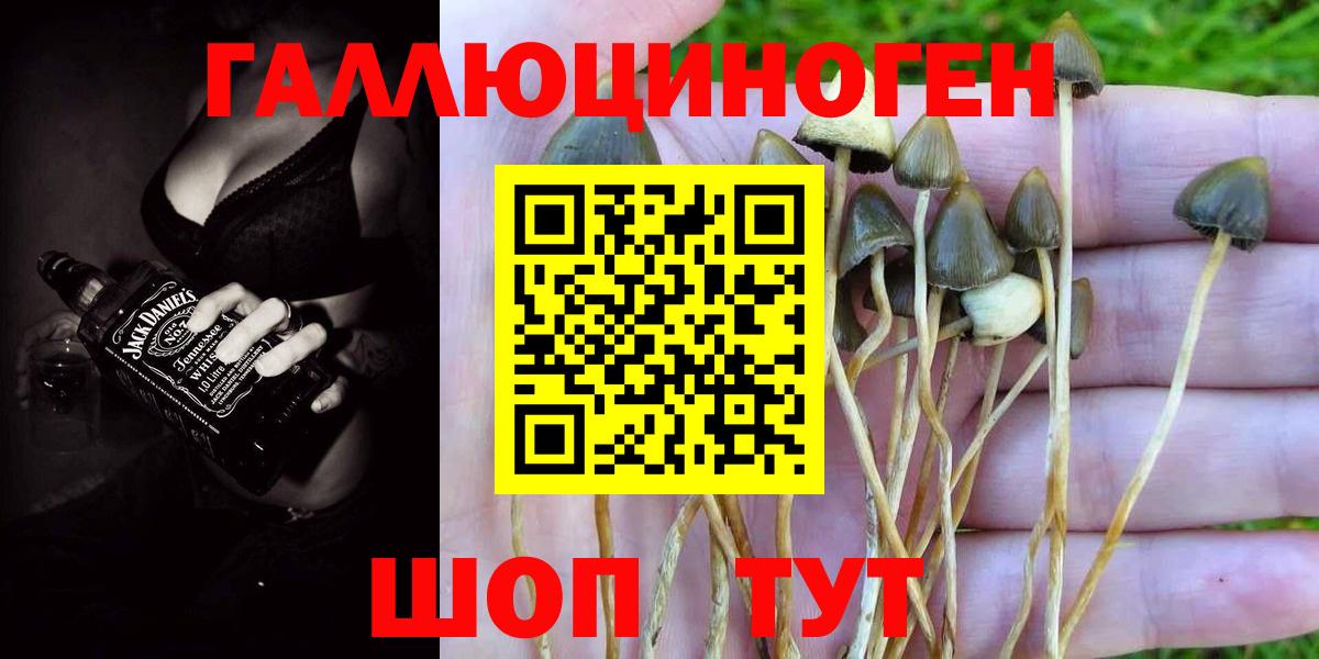 Кирово-Чепецк  Галлюциногенные грибы GOLDEN TEACHER  Вход с VPN 