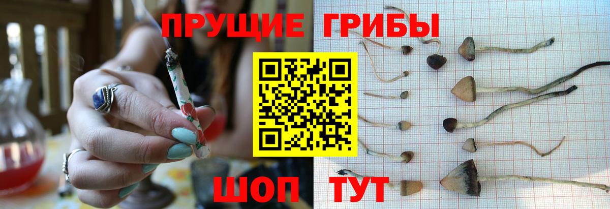 ГАШ Кирово-Чепецк